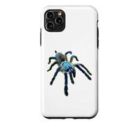 Carcasa para iPhone 11 Pro MAX Araña Tarántula Babuino Azul Isla Socotra (M. balfouri)