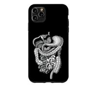 Carcasa para iPhone 11 Pro MAX Cuerpo Humano Órganos internos Anatomía Gráfico Regalo Hombres Mujeres