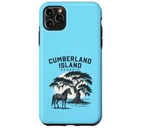 Carcasa para iPhone 11 Pro MAX Cumberland Island Georgia Puesta de Sol