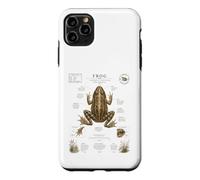 Carcasa para iPhone 11 Pro MAX Diagrama de guía de Campo Vintage anatomía Rana Arte de la Naturaleza