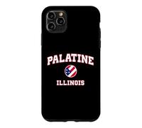 Carcasa para iPhone 11 Pro MAX Palatine Illinois (Illinois)