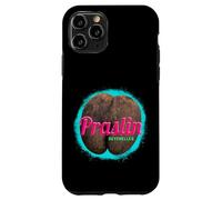 Carcasa para iPhone 11 Pro Praslin diseño Vintage Isla Tropical Seychelles Souvenir