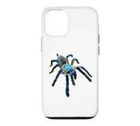 Carcasa para iPhone 12/12 Pro Araña Tarántula Babuino Azul Isla Socotra (M. balfouri)