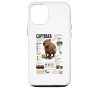 Carcasa para iPhone 12/12 Pro Capibara Los Datos más Grandes del Mundo sobre roedores