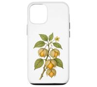 Carcasa para iPhone 12/12 Pro Impresión artística Vintage botánica Physalis Nature Fruit