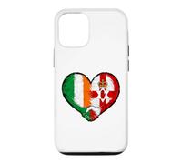 Carcasa para iPhone 12/12 Pro Irlanda Norte e Irlanda Amistad Corazón Gráfico