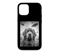 Carcasa para iPhone 12/12 Pro Newfoundland UFO