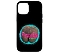 Carcasa para iPhone 12/12 Pro Praslin diseño Vintage Isla Tropical Seychelles Souvenir