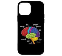 Carcasa para iPhone 12 Mini Anatomía del Cerebro Humano Neurociencia etiquetados lóbulos de la Corteza