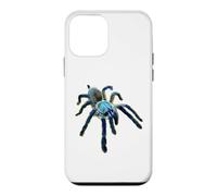 Carcasa para iPhone 12 Mini Araña Tarántula Babuino Azul Isla Socotra (M. balfouri)