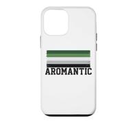 Carcasa para iPhone 12 Mini Bandera del Orgullo Aromántico Tipografía Aro LGBTQ Grunge