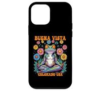 Carcasa para iPhone 12 Mini Buena Vista, Colorado, EE. UU., caprichoso diseño Zen con Forma de Rana
