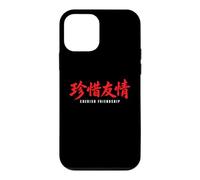 Carcasa para iPhone 12 Mini Caligrafía China Minimalista con Cita de Amistad