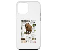 Carcasa para iPhone 12 Mini Capibara Los Datos más Grandes del Mundo sobre roedores