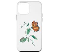 Carcasa para iPhone 12 Mini Ciclo de metamorfosis de la Mariposa monarca