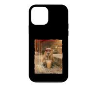Carcasa para iPhone 12 Mini Cool Retro Bubble Tea Gafas De Sol Capibara