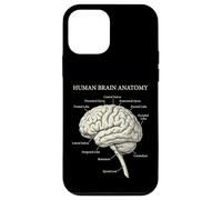 Carcasa para iPhone 12 Mini Diagrama etiquetado de neurociencia de anatomía del Cerebro Humano