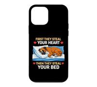 Carcasa para iPhone 12 Mini First They Steal Your Heart Then The Bed Boxer Dog Owner Fun