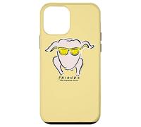 Carcasa para iPhone 12 Mini Friends Hip Turkey