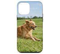 Carcasa para iPhone 12 Mini Golden Retriever Perro Corriendo Campo Abierto Soleado Escena Al