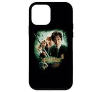 Carcasa para iPhone 12 Mini Harry Potter Chamber of Secrets Poster