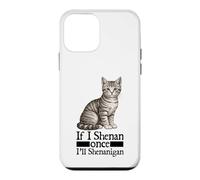 Carcasa para iPhone 12 Mini If I Shenan Once I'Ll Shenanigan Funny Cat Irlanda Irlanda