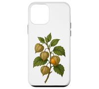 Carcasa para iPhone 12 Mini Impresión artística Vintage botánica Physalis Golden Berry