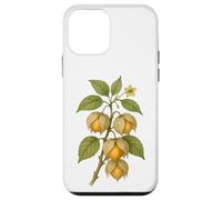 Carcasa para iPhone 12 Mini Impresión artística Vintage botánica Physalis Nature Fruit
