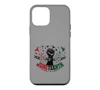 Carcasa para iPhone 12 Mini Juneteenth Freedom Day Emancipation Fist