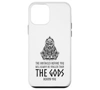 Carcasa para iPhone 12 Mini Mitología nórdica Motivacional - Dios Vikingo Odin - Paganismo