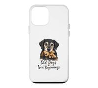 Carcasa para iPhone 12 Mini Old Dogs New Beginnings Senior Rescue Dog Cute Rescue Dog