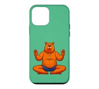 Carcasa para iPhone 12 Mini Oso Yogi