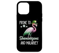 Carcasa para iPhone 12 Mini Prone to Shenanigans and Malarkey Sign St Patricks Flamingo