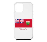 Carcasa para iPhone 12 Mini Recuerdo de la Bandera de Ontario Canadá