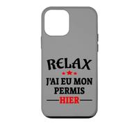 Carcasa para iPhone 12 Mini Regalo Licencia de Conducir Código de Carretera Humor