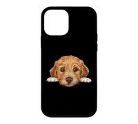 Carcasa para iPhone 12 Mini Retrato de Perro de Cara de Cachorro Garabato Dorado bebé