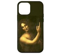 Carcasa para iPhone 12 Mini San Juan Bautista Pintura por Leonardo da Vinci 1513