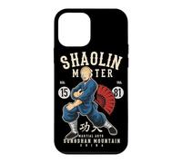 Carcasa para iPhone 12 Mini Shaolin Wu-Yi Kung Fu Artes Marciales Songshan Montañas Regalo