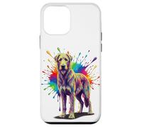 Carcasa para iPhone 12 Mini Splash Art Flat Coated Retriever