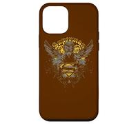 Carcasa para iPhone 12 Mini Superman Stand Your Ground