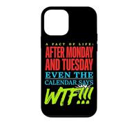 Carcasa para iPhone 12 Mini Un Hecho de la Vida Filosofía de ironía sarcástica Meme