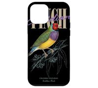Carcasa para iPhone 12 Mini Vintage Gouldian Pinzón Avistamiento De Aves Arte Naturaleza Amor Pájaros