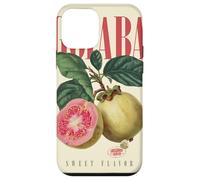 Carcasa para iPhone 12 Mini Vintage Guayaba Sabor Dulce Fruta Orgánica Botánica