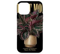 Carcasa para iPhone 12 Mini Vintage Sorpresa Star Calathea Planta Mamá Naturaleza Flora Jardín