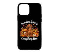 Carcasa para iPhone 12 Mini Womens Girls Moms Pumpkin Spice Long Haired Dachshund Lover