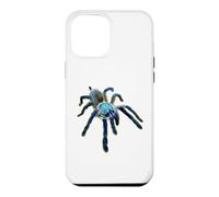 Carcasa para iPhone 12 Pro MAX Araña Tarántula Babuino Azul Isla Socotra (M. balfouri)