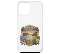 Carcasa para iPhone 12 Pro MAX Bristol Beach State Park Nueva York - Recuerdo novedoso