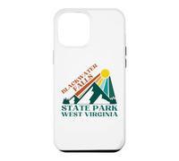 Carcasa para iPhone 12 Pro MAX Cataratas de Blackwater