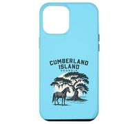 Carcasa para iPhone 12 Pro MAX Cumberland Island Georgia Puesta de Sol