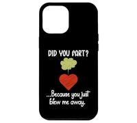 Carcasa para iPhone 12 Pro MAX Did You Fart Because You Just Blew Me Away Funny Valentine